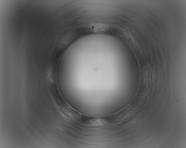 X0000073850316200608241049