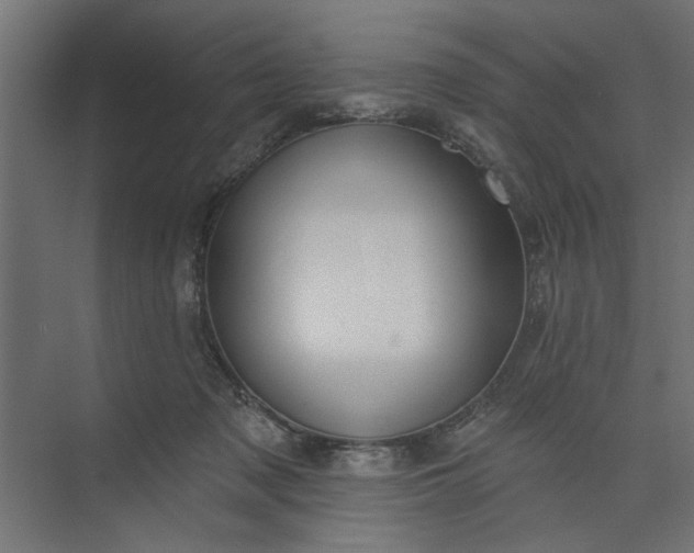 X0000073850317200608241049