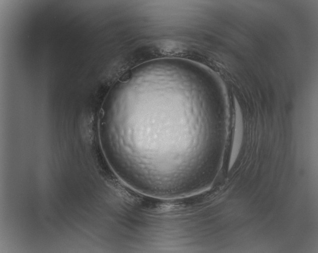 X0000073850319200608241049