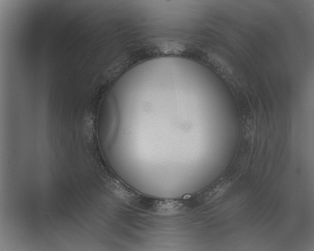 X0000073850321200608241049