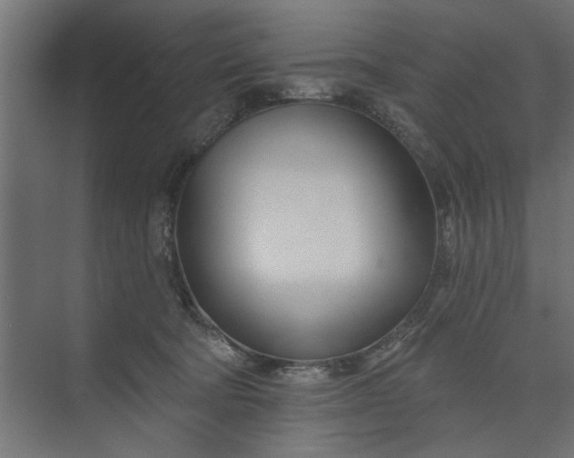 X0000073850322200608241049