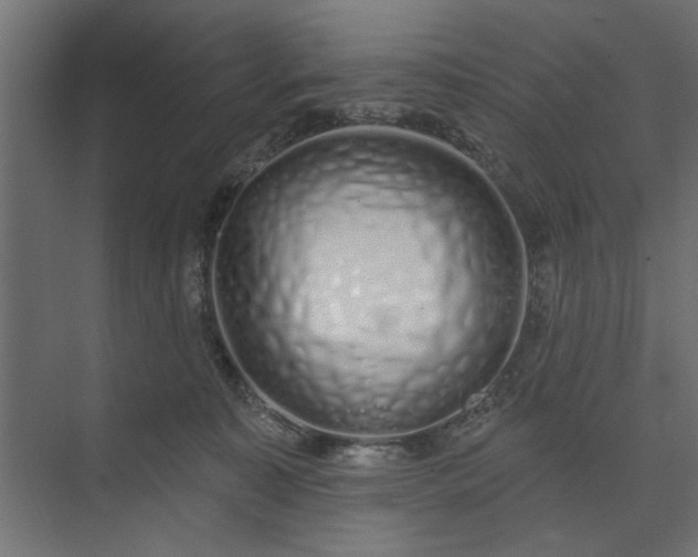 X0000073850323200608241049