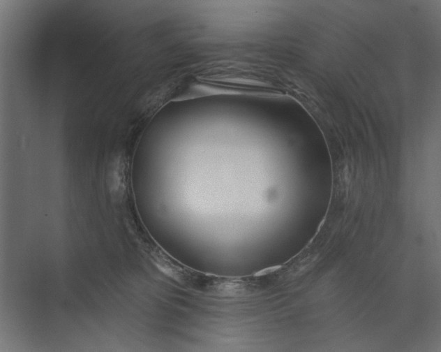 X0000073850325200608241049