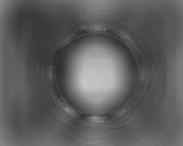 X0000073850326200608241049