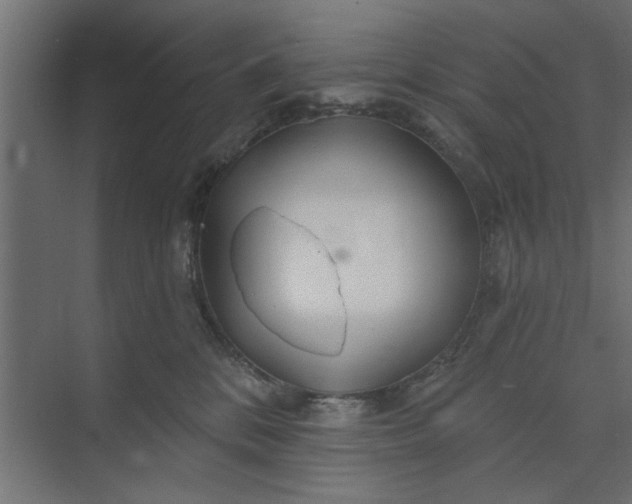 X0000073850328200608241049