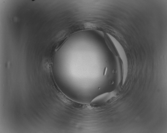 X0000073850329200608241049