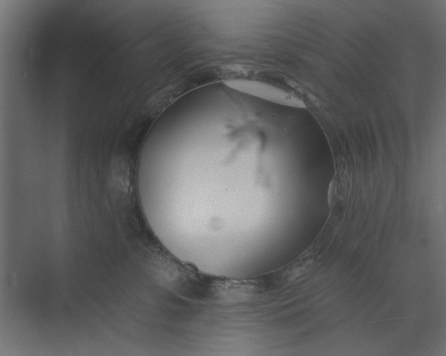 X0000073850331200608241049