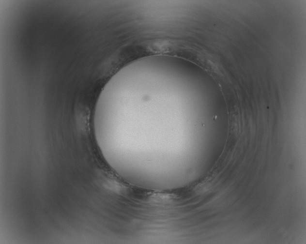 X0000073850332200608241049