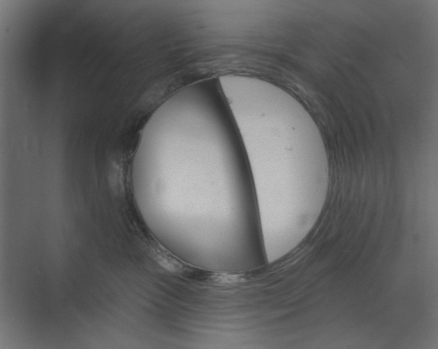 X0000073850333200608241049