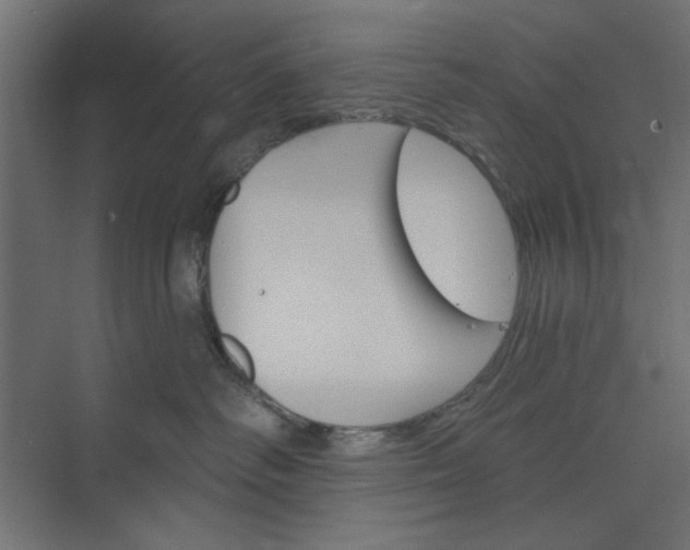 X0000073850334200608241049