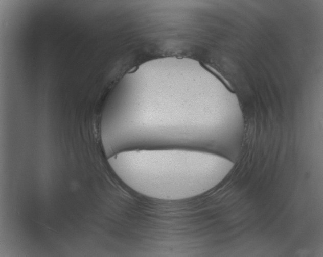 X0000073850335200608241049