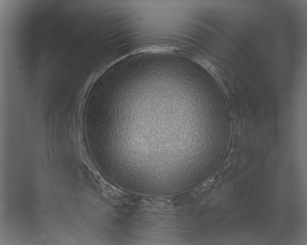 X0000073850337200608241048