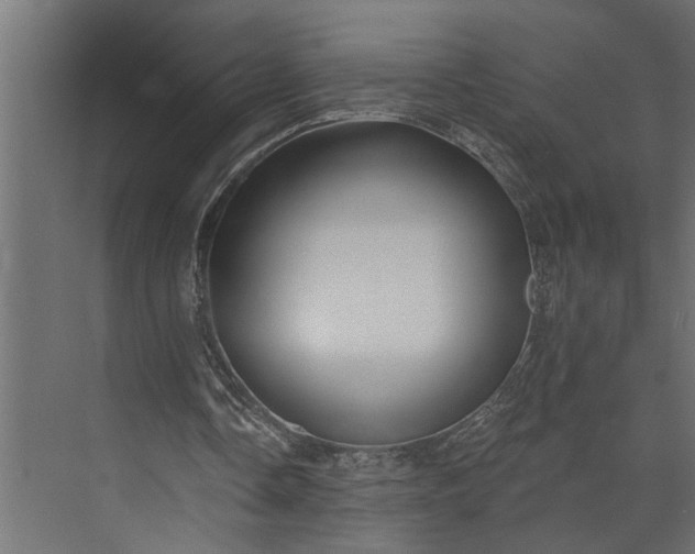 X0000073850338200608241048