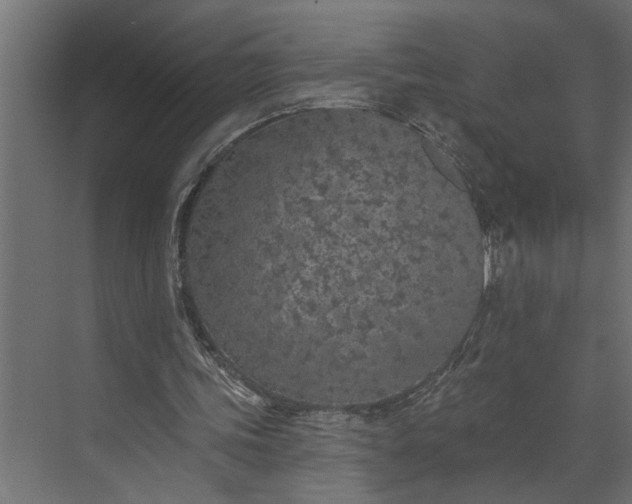 X0000073850339200608241048