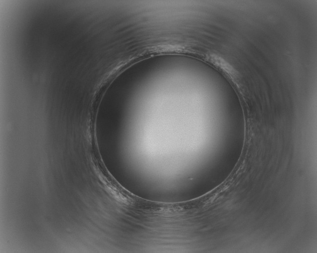 X0000073850345200608241048