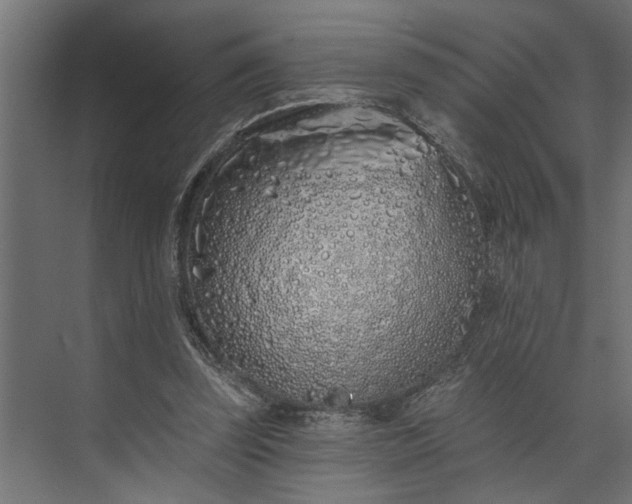 X0000073850347200608241048