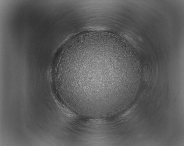 X0000073850351200608241048