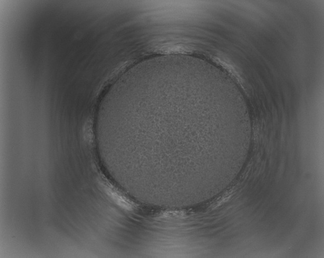 X0000073850353200608241048