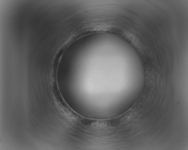 X0000073850354200608241048