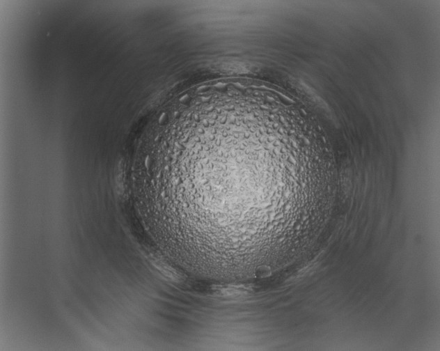 X0000073850359200608241048