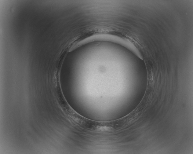 X0000073850360200608241048