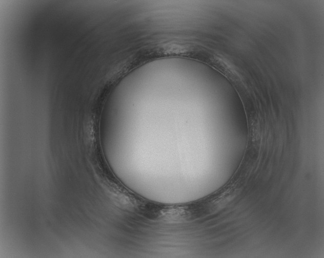 X0000073850362200608241049