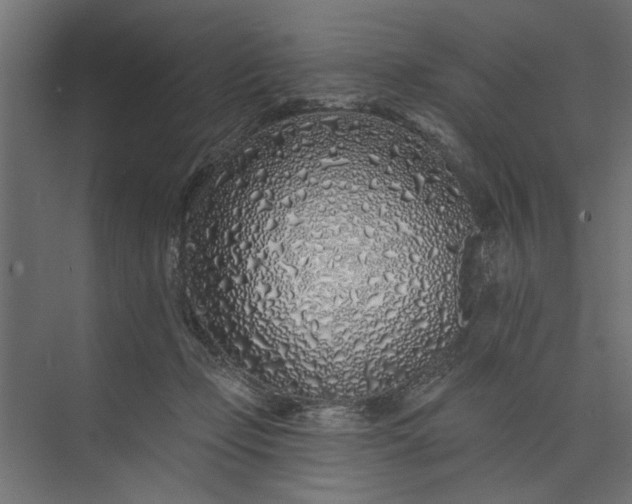 X0000073850365200608241049