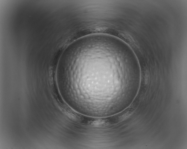 X0000073850366200608241049