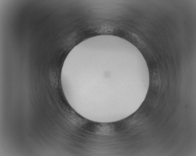 X0000073850370200608241049