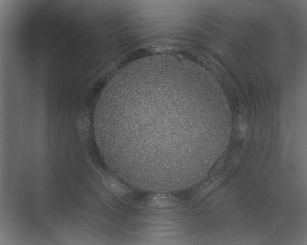 X0000073850372200608241049