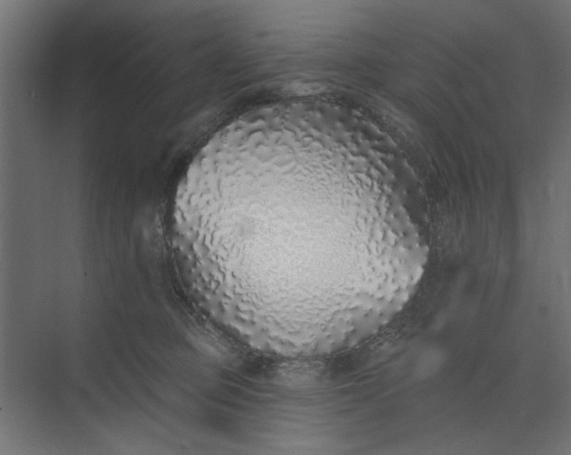 X0000073850373200608241049