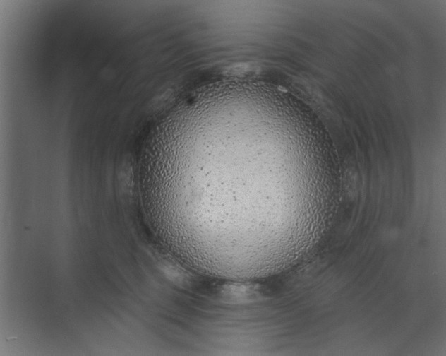 X0000073850375200608241049