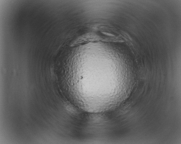 X0000073850377200608241049