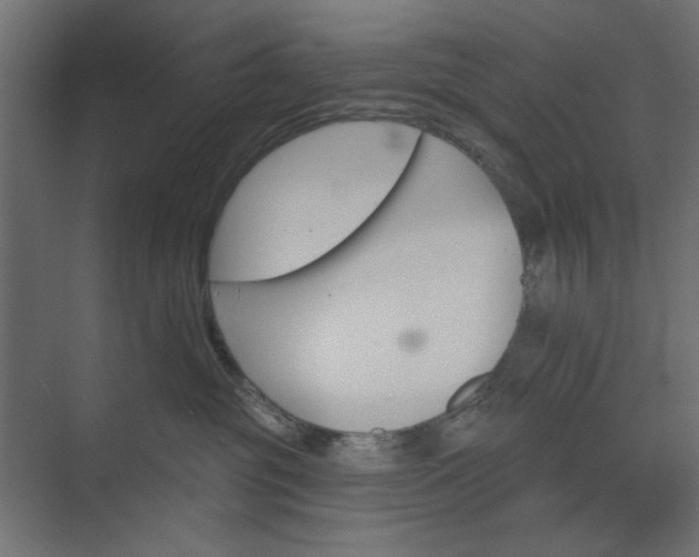 X0000073850381200608241049