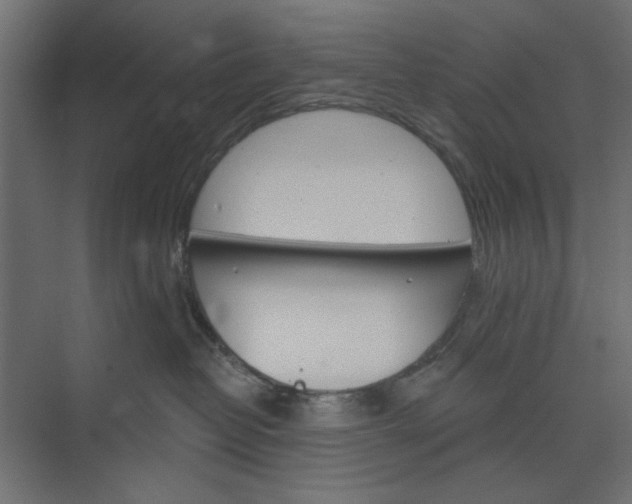 X0000073850382200608241049