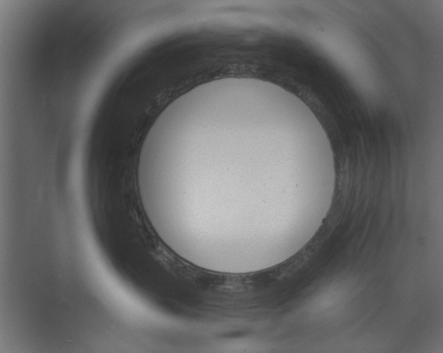 X0000073850383200608241049