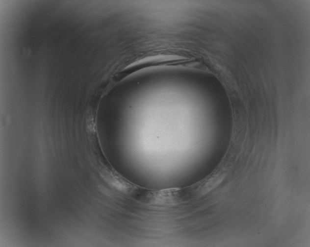 X0000073850384200608241049