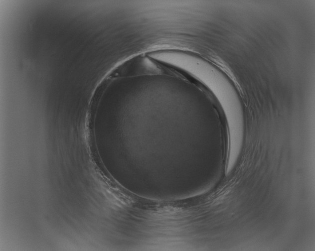 X0000073850387200608241048