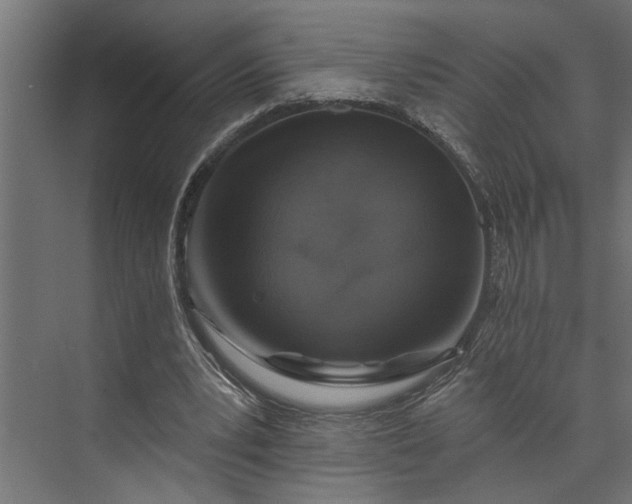 X0000073850391200608241048