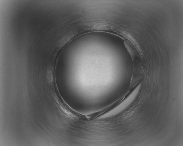 X0000073850393200608241048