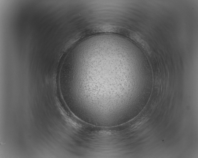 X0000073850394200608241048