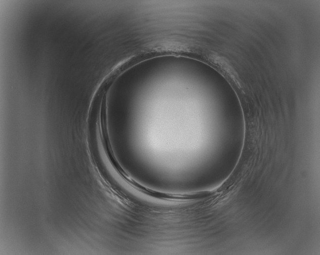 X0000073850395200608241048