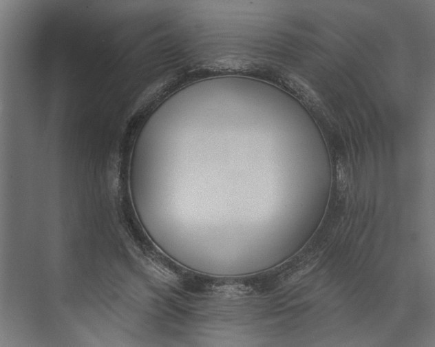 X0000073850396200608241048