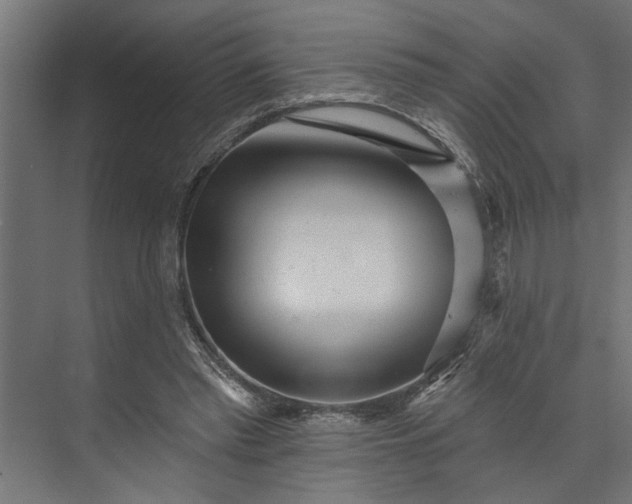 X0000073850397200608241048