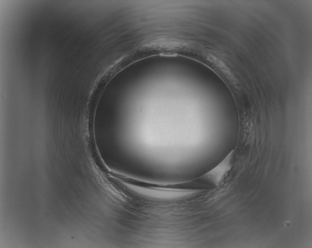 X0000073850399200608241048