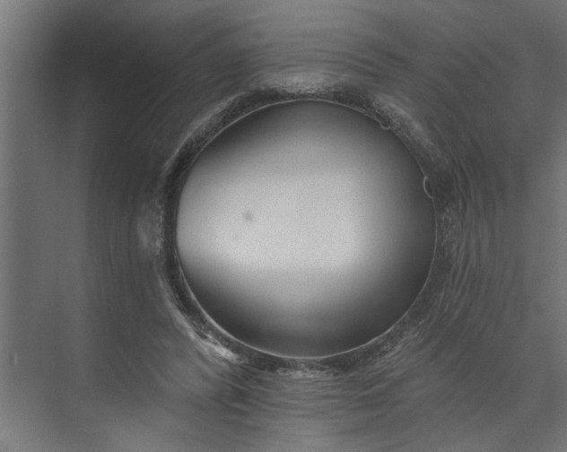 X0000073850400200608241048