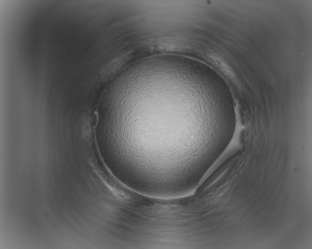 X0000073850401200608241048