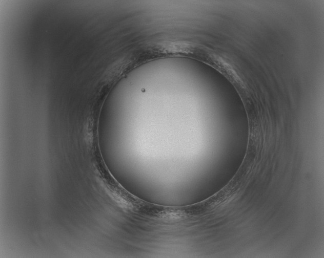 X0000073850402200608241048