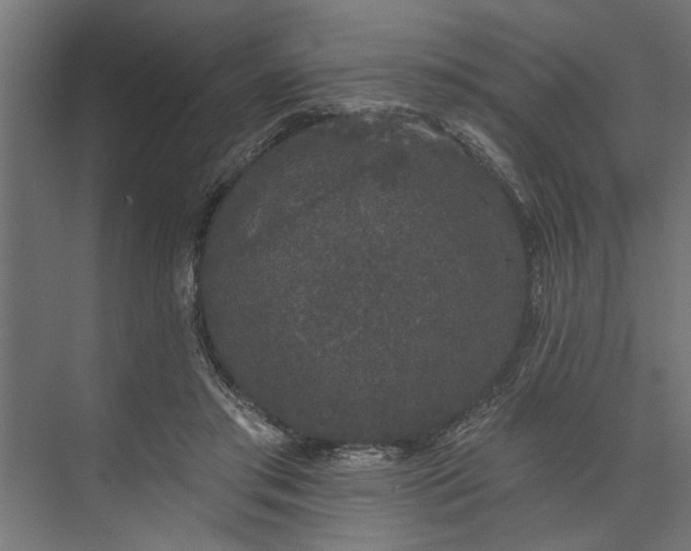 X0000073850405200608241048