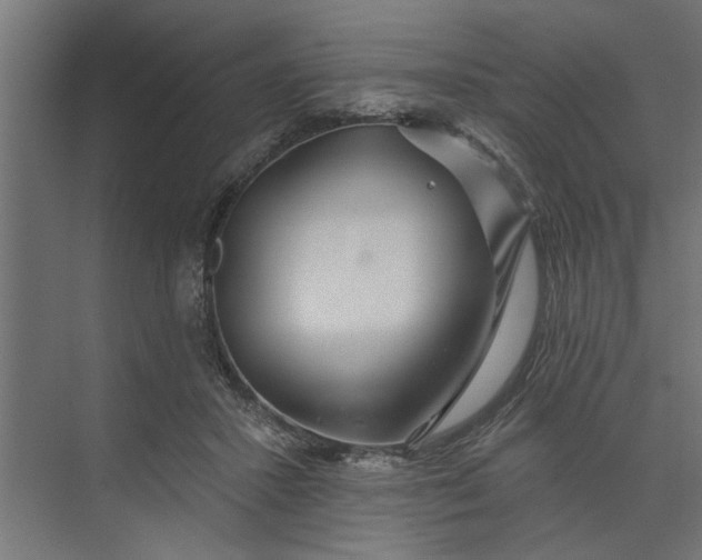 X0000073850407200608241048